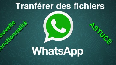 Comment transférer des fichiers entre vos contacts directement via l’application WhatsApp ?